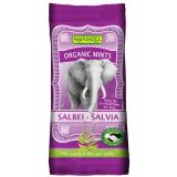 Organic Mints Salbei - Salvia HIH