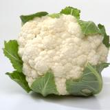 Blumenkohl