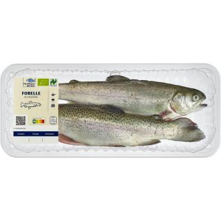 Regenbogenforelle, küchenfertig ca. 300g
