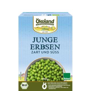TK Junge Erbsen zart und süß