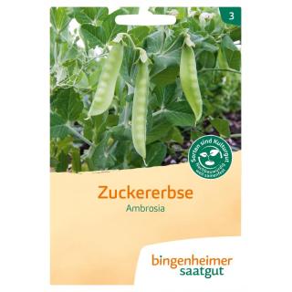 Zuckererbse Ambrosia