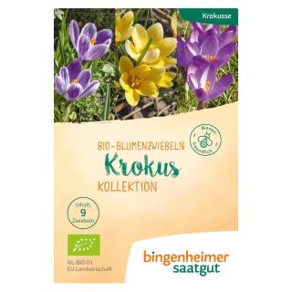 Blumenzwiebeln Krokus Kollektion
