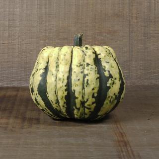 Kürbis Sweet Dumpling vom Hof