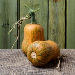 Kürbis Honeynut vom Hof