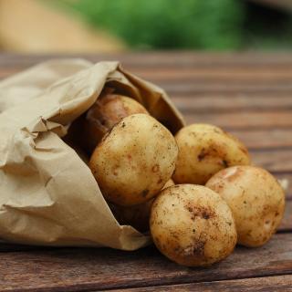 Kartoffeln Linda 12,5 kg Sack