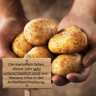 Kartoffeln Gunda vom Hof