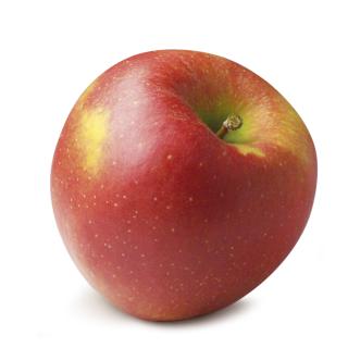 Äpfel Jonagold aus Sommerland