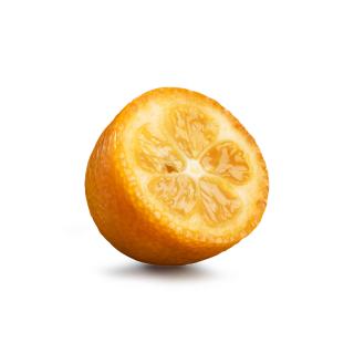 Kumquat