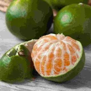 Satsumas