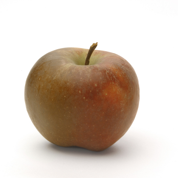 Äpfel Boskop aus Sommerland