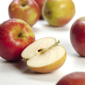 Äpfel Holsteiner Cox aus Sommerland