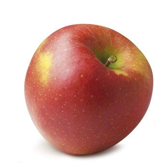 Äpfel Jonagold aus Sommerland