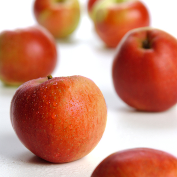 Äpfel Natyra aus Sommerland