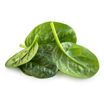 Baby-Spinat