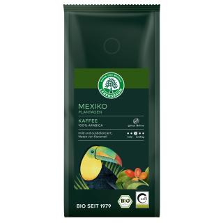 Mexiko Plantagen Kaffee - Bohne -