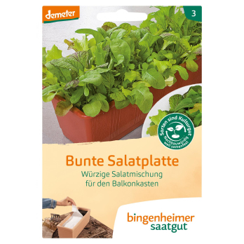 Bunte Salatplatte