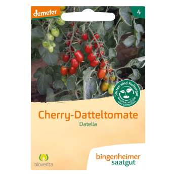 Cherrytomate Datella